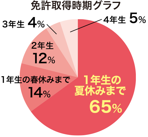 免許取得時期グラフ