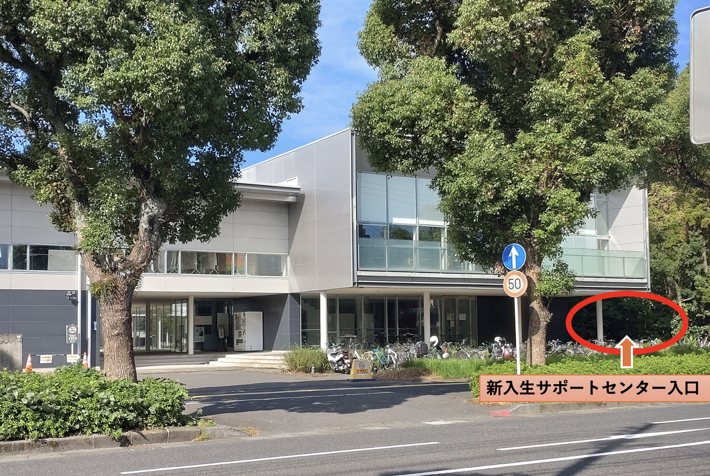 代替文字