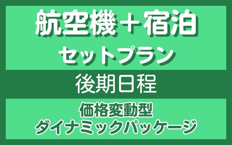 航空機セットプラン　後期
