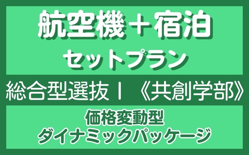 航空機セットプラン（総合1共創）