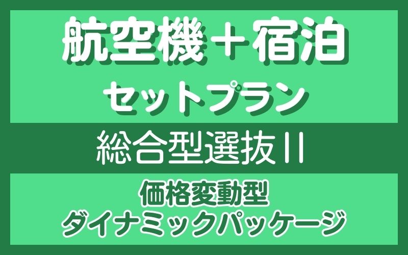航空機セットプラン（総合2）