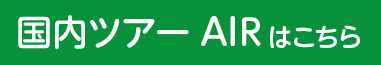 国内ツアーAIR